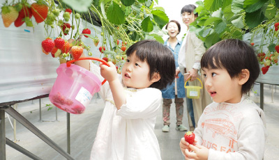 保育園・こども園イメージ